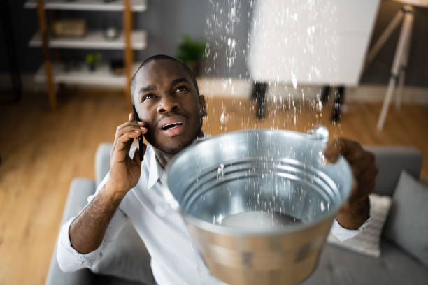 Best Sewage cleanup and water damage restoration  in Plainfield, NJ
