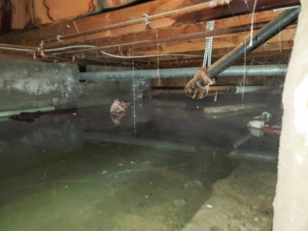 Best Ceiling water damage repair  in Plainfield, NJ