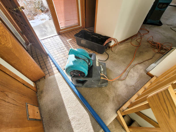 Best Water damage contractors near me  in Plainfield, NJ