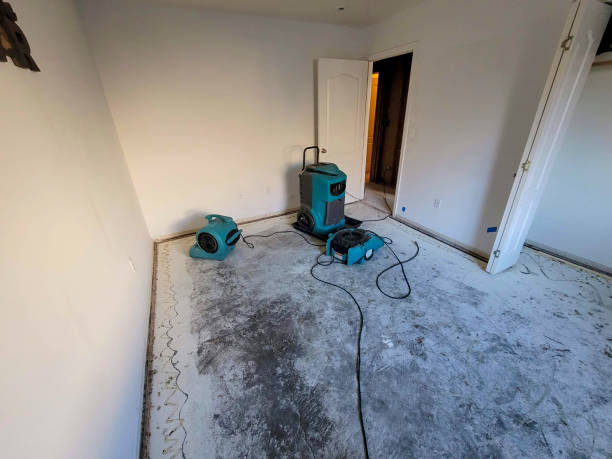 Best Water damage cleanup near me  in Plainfield, NJ