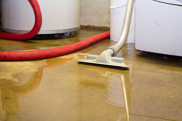 Best Basement water damage restoration  in Plainfield, NJ