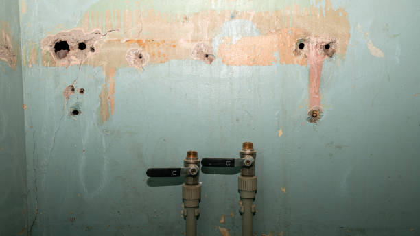 Best Commercial water damage restoration  in Plainfield, NJ