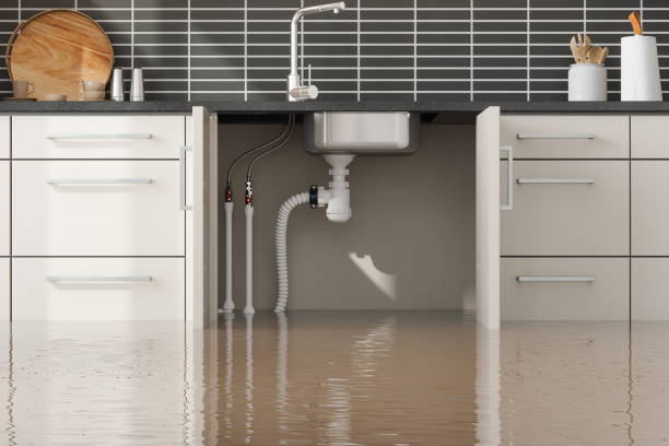 Best Sewage cleanup and water damage restoration  in Plainfield, NJ